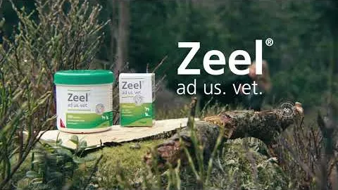 Video über Zeel ad us. vet. Tabletten, 500 St