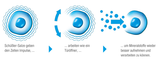 BIOCHEMIE DHU 3 Ferrum phosphoricum D 12 Tabletten, 200 St