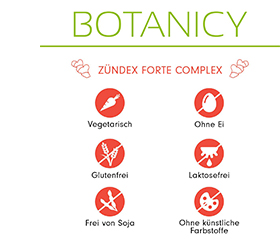 ZÜNDEX forte Complex mit OptiMSM Kapseln, 60 St