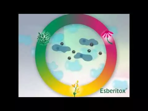 Video über Esberitox® Compact Bei Erkältungskrankheiten, 60 St
