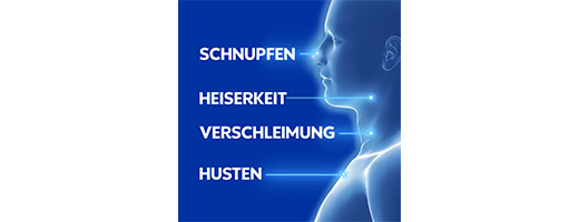 WICK VapoRub Erkältungssalbe, 25 g