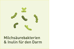Nupure probaflor Mikrobiotika magensaftresistent Kapseln, 90 St