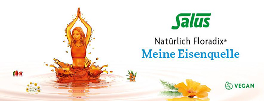 FLORADIX Eisen plus B12 vegan Tonikum, 250 ml