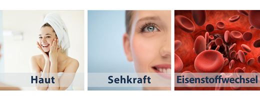 Vitamin A 500 µg hochdosiert vegan Tropfen, 50 ml