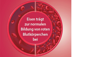 EISEN DIREKT plus Vitamin C+Folsäure+B12 Pulver, 60 St