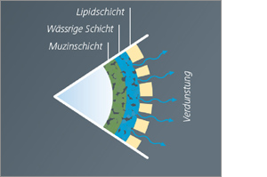 Hylovis lipo Augentropfen, 10 ml