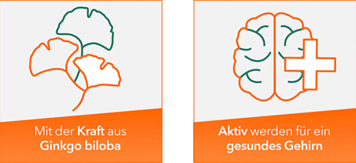 Ginkobil ratiopharm 240mg mit Ginkgo biloba, 120 St