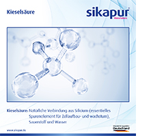 SIKAPUR Kieselsäure Softgel-Kapseln mit Biotin, 90 St