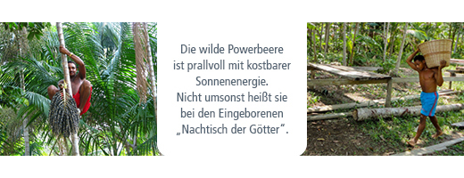 ACAI 100% Bio Pulver ohne Trägerstoffe, 80 g