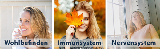 OPC Traubenkernextrakt hochdosiert + Vitamin C Kapseln, 180 St