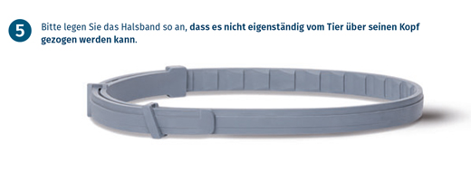 Seresto Halsband für kleine Hunde bis 8 kg, 1 St