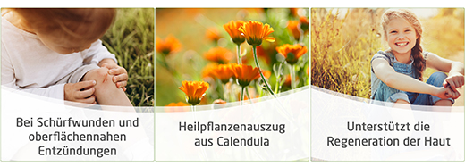 CALENDULA WUNDSALBE, 25 g