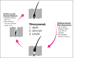 Thiocyn Wimpernserum, 8 ml