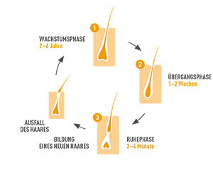 BIO-H-TIN Hair Essentials Mikronährstoff-Kapseln, 30 St
