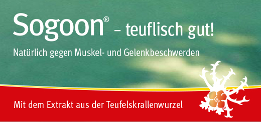 Sogoon Teufelskralle 480 mg Filmtabletten , 200 St
