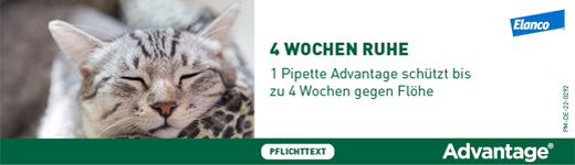 Advantage 40 für kleine Katzen und Zierkaninchen unter 4 kg, 4X0.4 ml