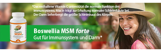 BOSWELLIA MSM forte Dr.Jacob's Tabletten, 90 St