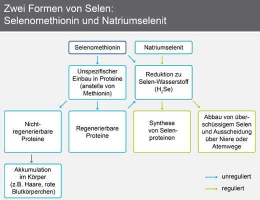 SELENASE 200 XXL Tabletten, 90 St