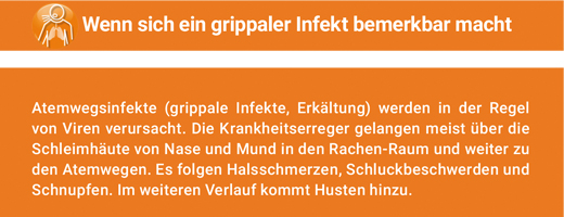 ANGOCIN Anti Infekt N Filmtabletten, 50 St