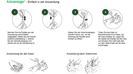 Advantage 40 für kleine Katzen und Zierkaninchen unter 4 kg, 4X0.4 ml