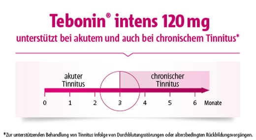 TEBONIN intens 120 mg Filmtabletten, 30 St