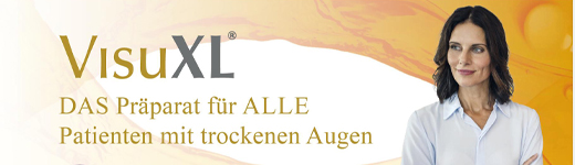 Visuxl Augentropfen, 10 ml