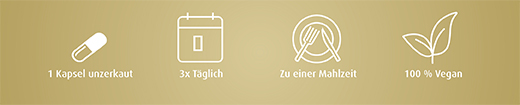 DAMIANA KAPSELN 450 mg 5:1 Blattextrakt, 100 St