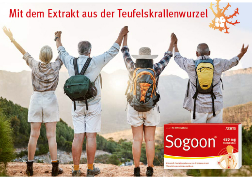 Sogoon Teufelskralle 480 mg Filmtabletten , 200 St