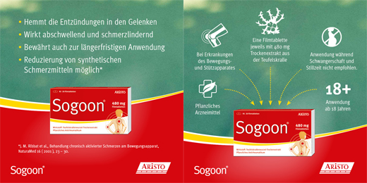 SOGOON 480 mg Filmtabletten, 20 St