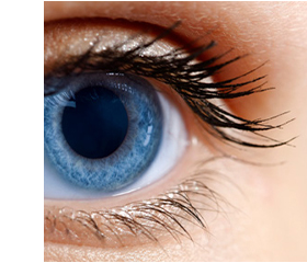 HYLO NIGHT® Augensalbe, 5 g