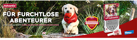 Advantix Spot-on Lösung Hund 40 - 60 kg, 4X6.0 ml