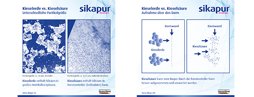 SIKAPUR Kieselsäure Softgel-Kapseln mit Biotin, 90 St