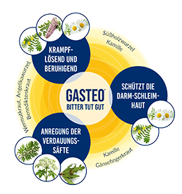 GASTEO Tropfen bei Magen-Darm-Beschwerden, 50 ml