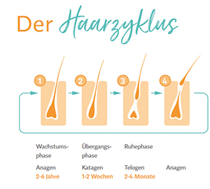 Minoxidil BIO-H-TIN-Pharma 50 mg/ml Spray für Männer, 3X60 ml
