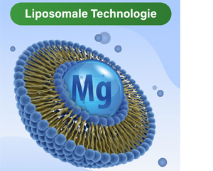GLYCOWOHL vital liposomales Magnesium hochdos.Kps., 120 St