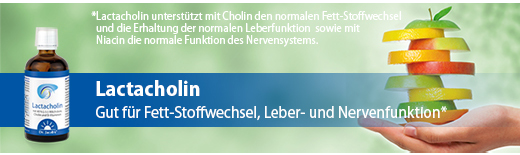 Lactacholin Dr. Jacob`s Tropfen, 100 ml