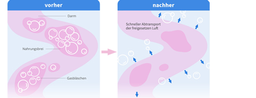 Velgastin® Suspension zum Einnehmen bei Blähungen , 30 ml