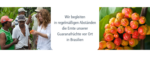 GUARANA PULVER, 100 g