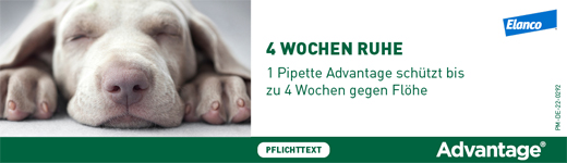 Advantage 250 für Hunde von 10-25 kg, 4 St
