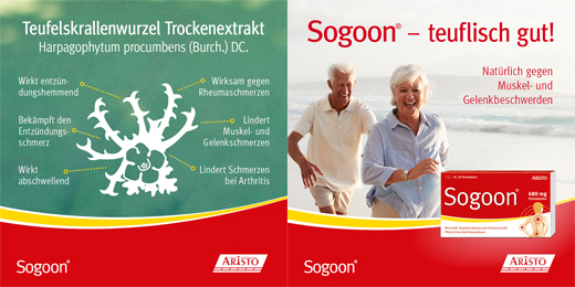 SOGOON 480 mg Filmtabletten, 20 St