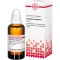 CORIANDRUM sativum Urtinktur D 1, 50 ml