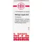 USTILAGO MAYDIS D 12 Globuli, 10 g