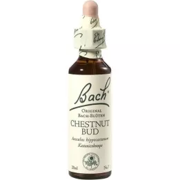 BACHBLÜTEN Chestnut Bud Tropfen, 20 ml