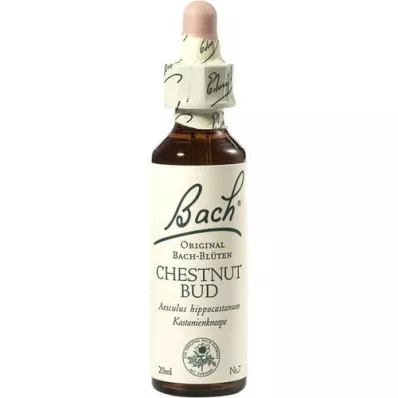BACHBLÜTEN Chestnut Bud Tropfen, 20 ml