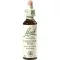 BACHBLÜTEN Chestnut Bud Tropfen, 20 ml