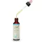 BACHBLÜTEN Chicory Tropfen, 20 ml