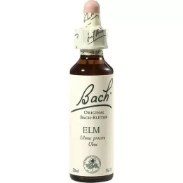 BACHBLÜTEN Elm Tropfen, 20 ml