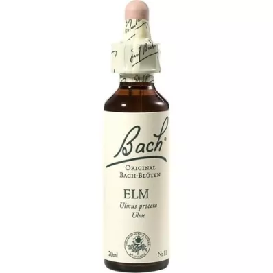 BACHBLÜTEN Elm Tropfen, 20 ml