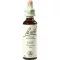 BACHBLÜTEN Elm Tropfen, 20 ml