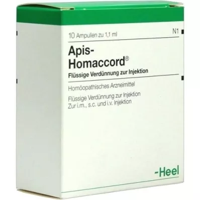 APIS HOMACCORD Ampullen, 10 St